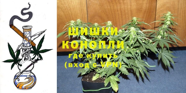 стаф Нягань