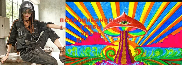 mdpv Осинники