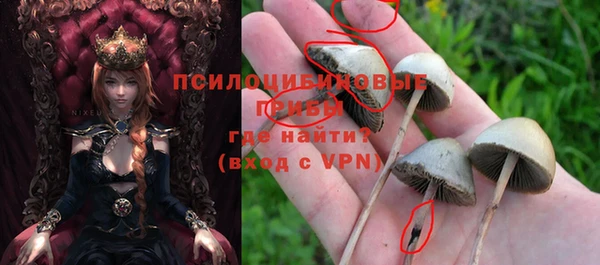 mdpv Осинники