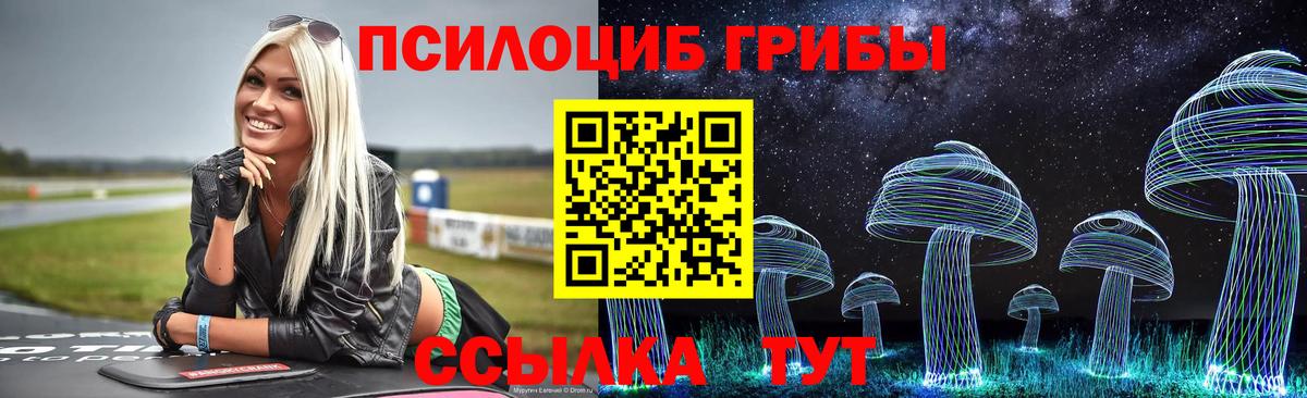 Галлюциногенные грибы Psilocybine cubensis Моздок