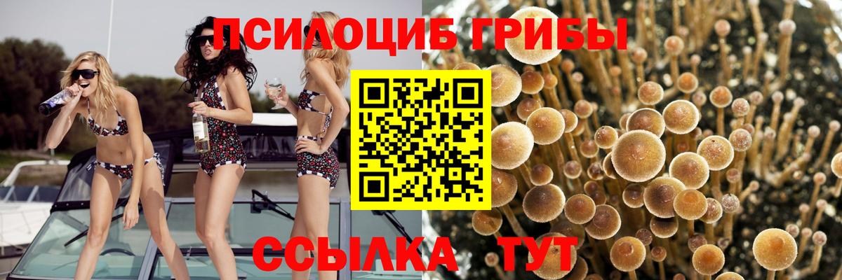 Галлюциногенные грибы Cubensis  Вход с VPN  Моздок 